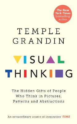 Book cover for Visual Thinking