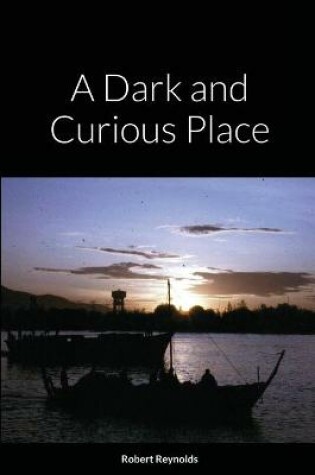 Cover of A Dark and Curious Place