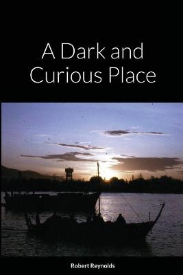 Book cover for A Dark and Curious Place