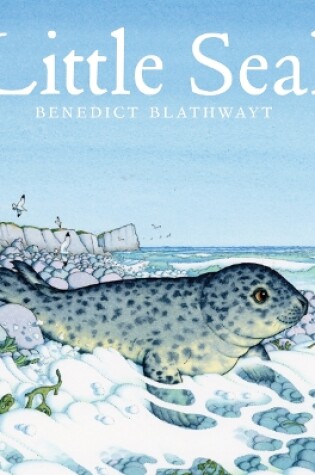 Cover of Little Seal