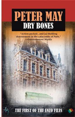 Book cover for Dry Bones