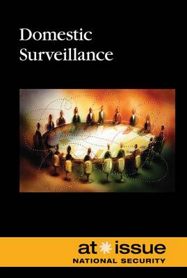 Cover of Domestic Surveillance