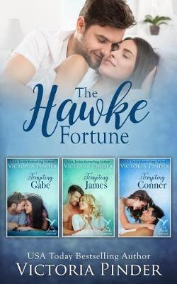 Book cover for The Hawke Fortune 1-3