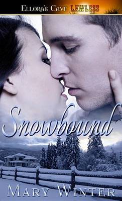 Book cover for Snowbound