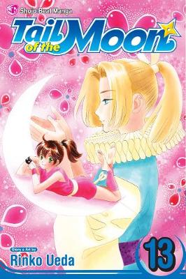Cover of Tail of the Moon, Vol. 13