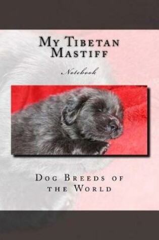 Cover of My Tibetan Mastiff