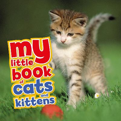 Book cover for My Little Book of Cats and Kittens