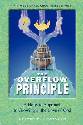 Cover of The Overflow Principle