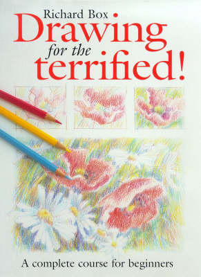 Book cover for Drawing for the Terrified