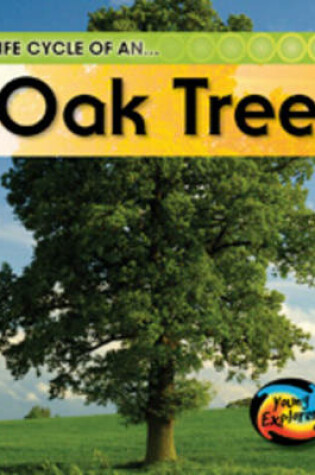 Cover of The Life Of A Tree