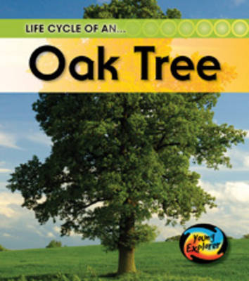 Book cover for The Life Of A Tree