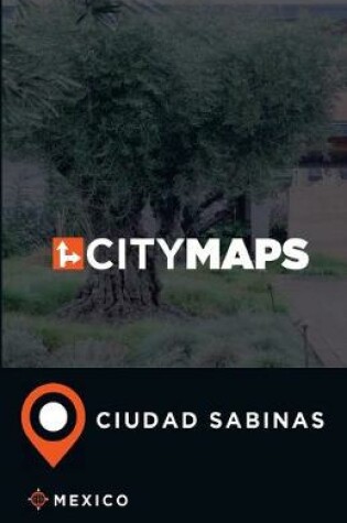 Cover of City Maps Ciudad Sabinas Mexico