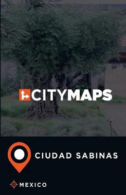 Book cover for City Maps Ciudad Sabinas Mexico