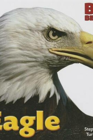 Cover of Eagle