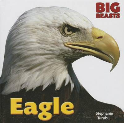 Book cover for Eagle