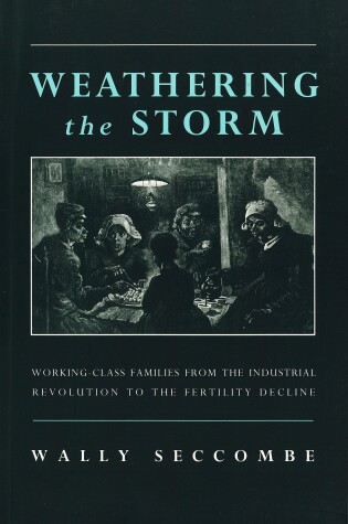 Cover of Weathering the Storm