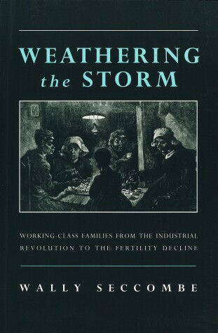 Book cover for Weathering the Storm