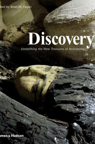 Cover of Discovery: Unearthing New Treasures