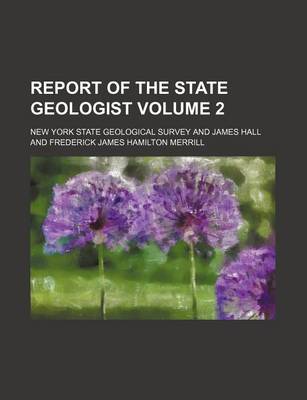 Book cover for Report of the State Geologist Volume 2