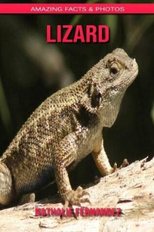 Cover of Lizard