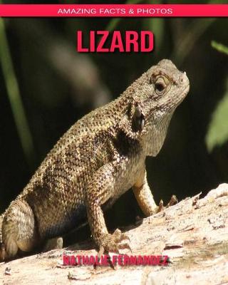 Book cover for Lizard