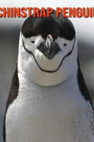 Cover of Chinstrap Penguin