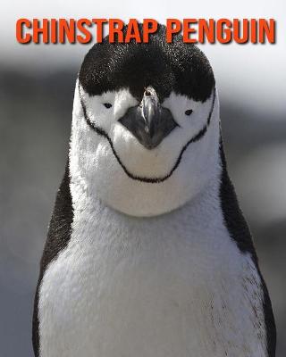 Book cover for Chinstrap Penguin