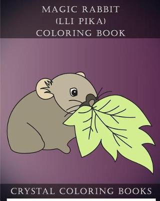 Book cover for Magic Rabbit (Lli Pika) Coloring Book