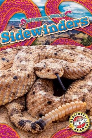 Cover of Sidewinders