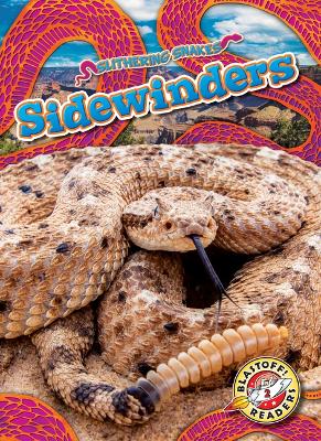 Cover of Sidewinders