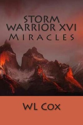 Cover of Storm Warrior XVI