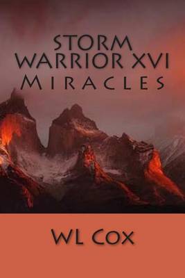 Cover of Storm Warrior XVI