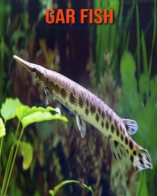 Book cover for Gar Fish