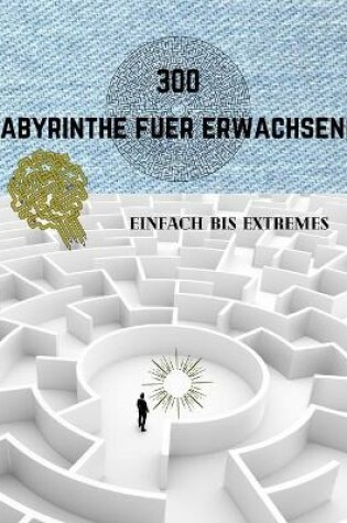 Cover of 300 Labyrinthe Fuer Erwachsene Einfach Bis Extremes