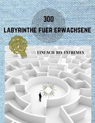 Book cover for 300 Labyrinthe Fuer Erwachsene Einfach Bis Extremes