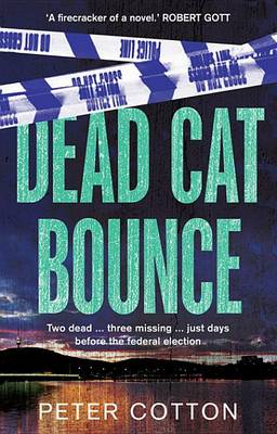 Book cover for Dead Cat Bounce