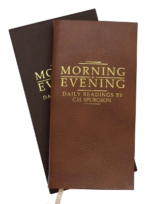 Book cover for Morning and evening Tan leather