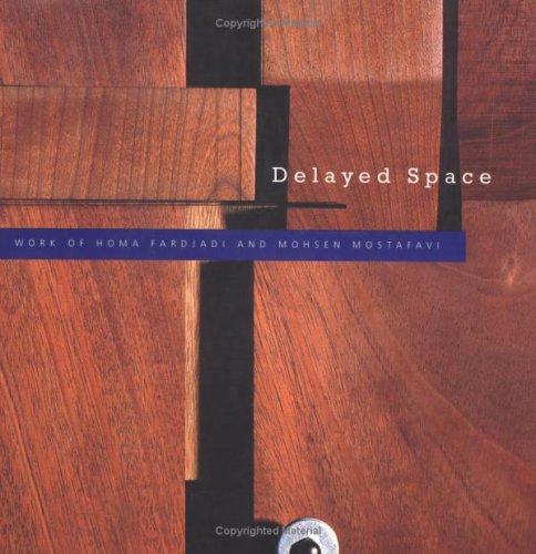 Book cover for Delayed Space