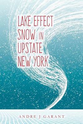 Book cover for Lake Effect Snow in Upstate New York