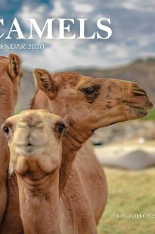 Cover of Camels Calendar 2020