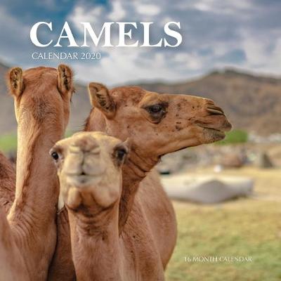 Book cover for Camels Calendar 2020