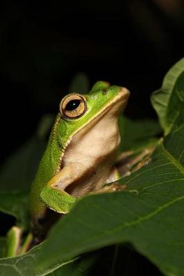 Book cover for Emerald Eyed Tree Frog Journal