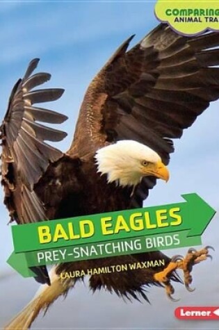 Cover of Bald Eagles