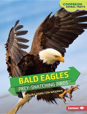 Cover of Bald Eagles