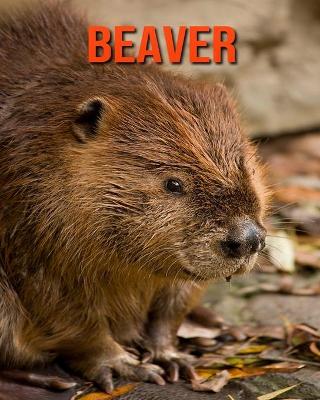 Book cover for Beaver