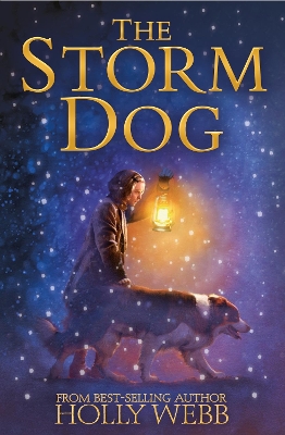 Book cover for The Storm Dog