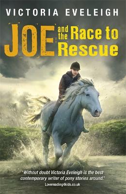 Cover of Joe and the Race to Rescue