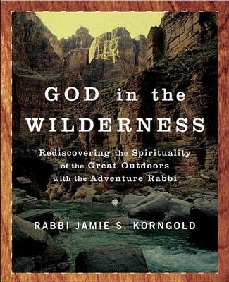 Book cover for God in the Wilderness
