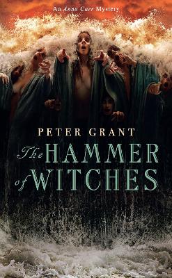 Book cover for The Hammer of Witches