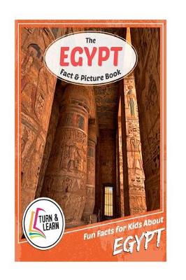 Book cover for The Egypt Fact and Picture Book